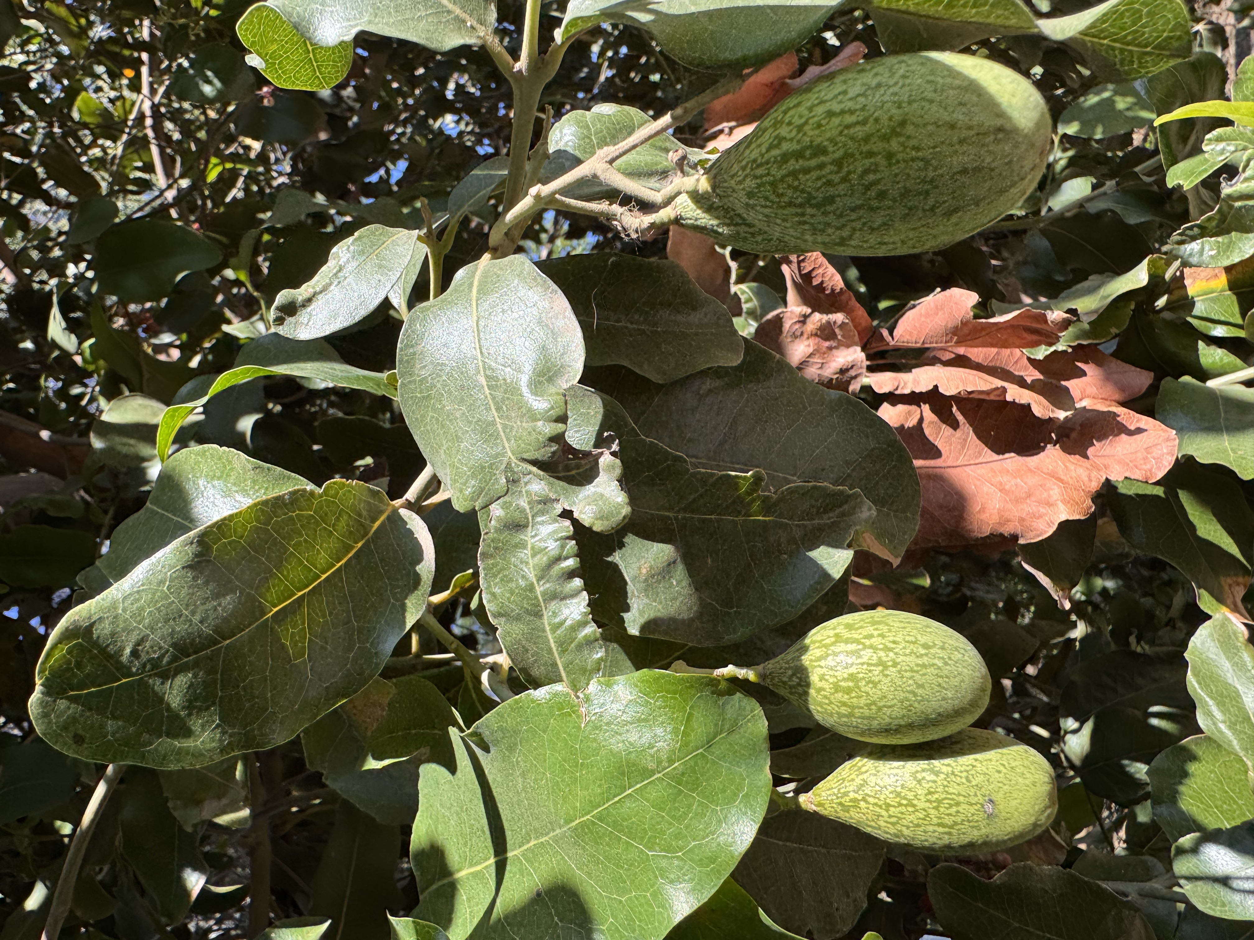 Nuestro territorio 2