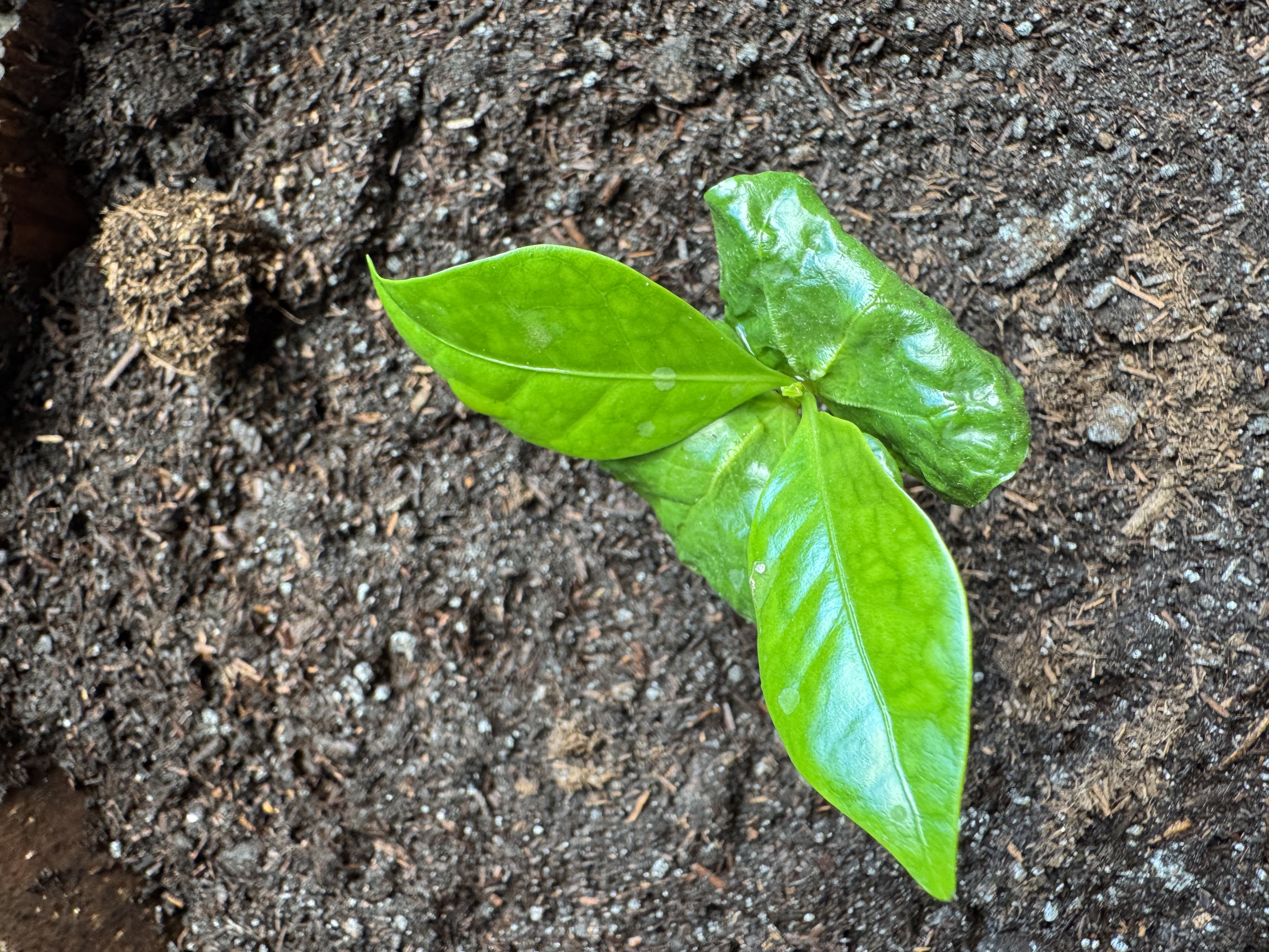 Nuestro territorio 4