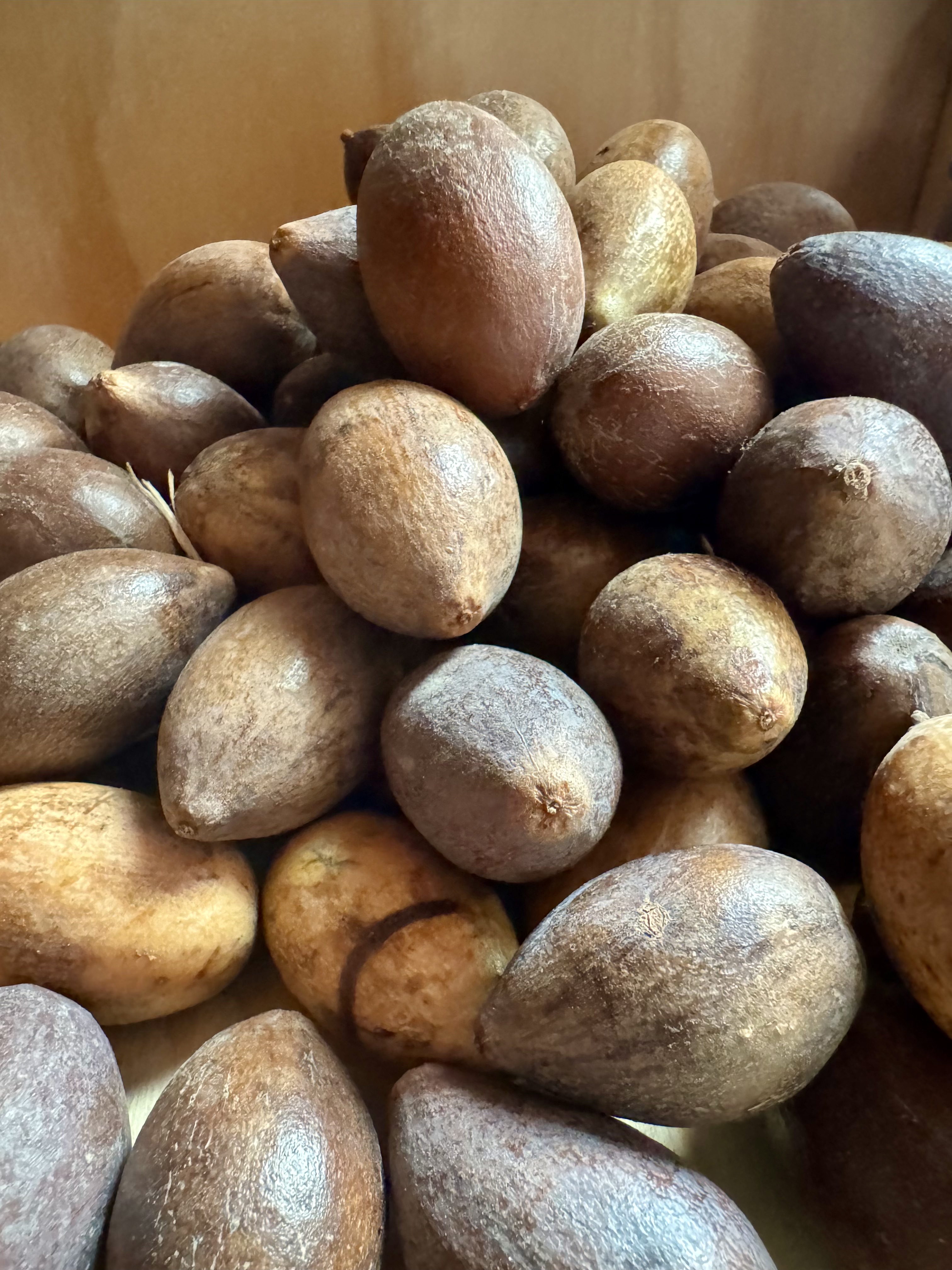 Nuestro territorio 5