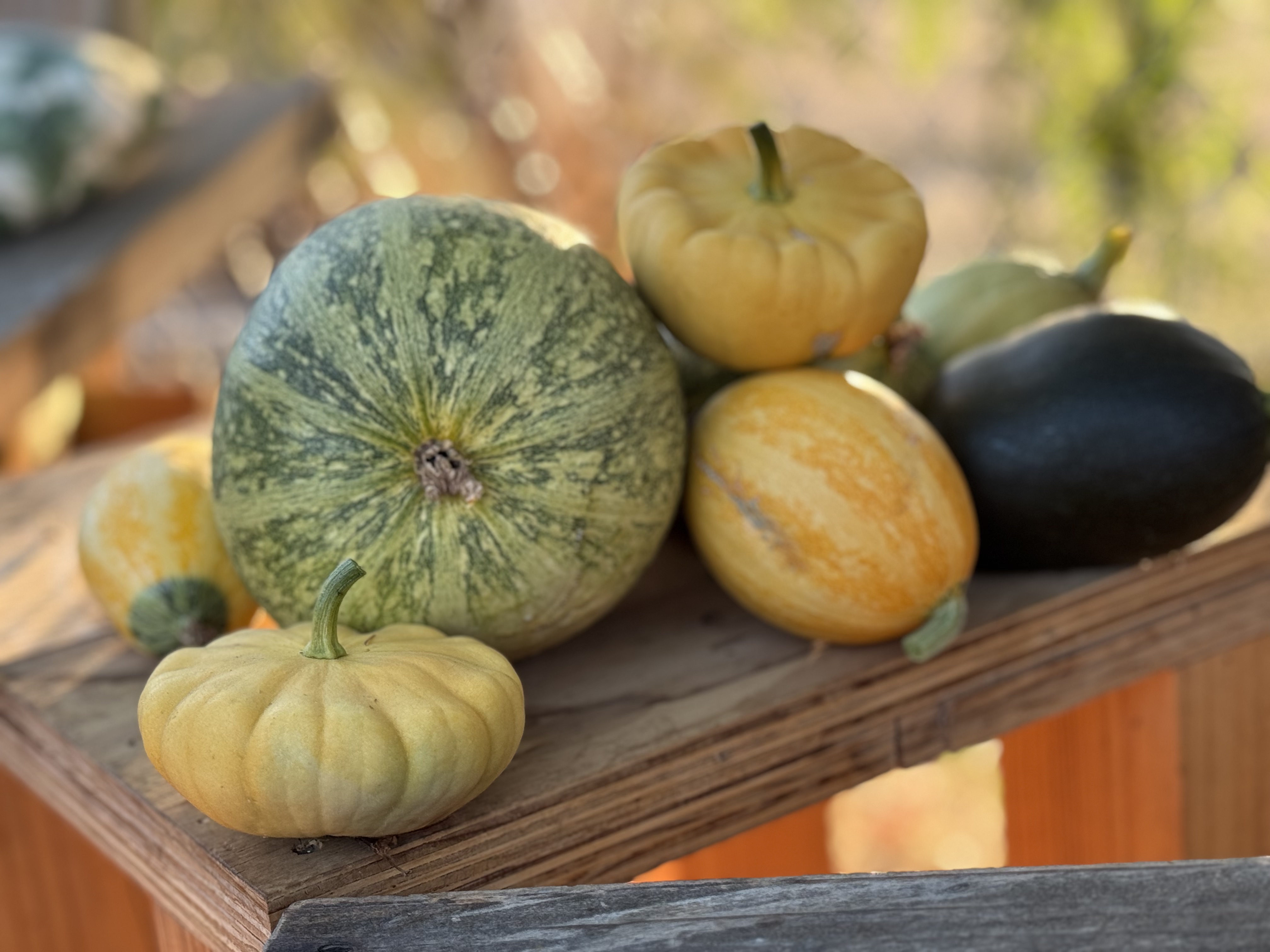 Nuestro territorio 7