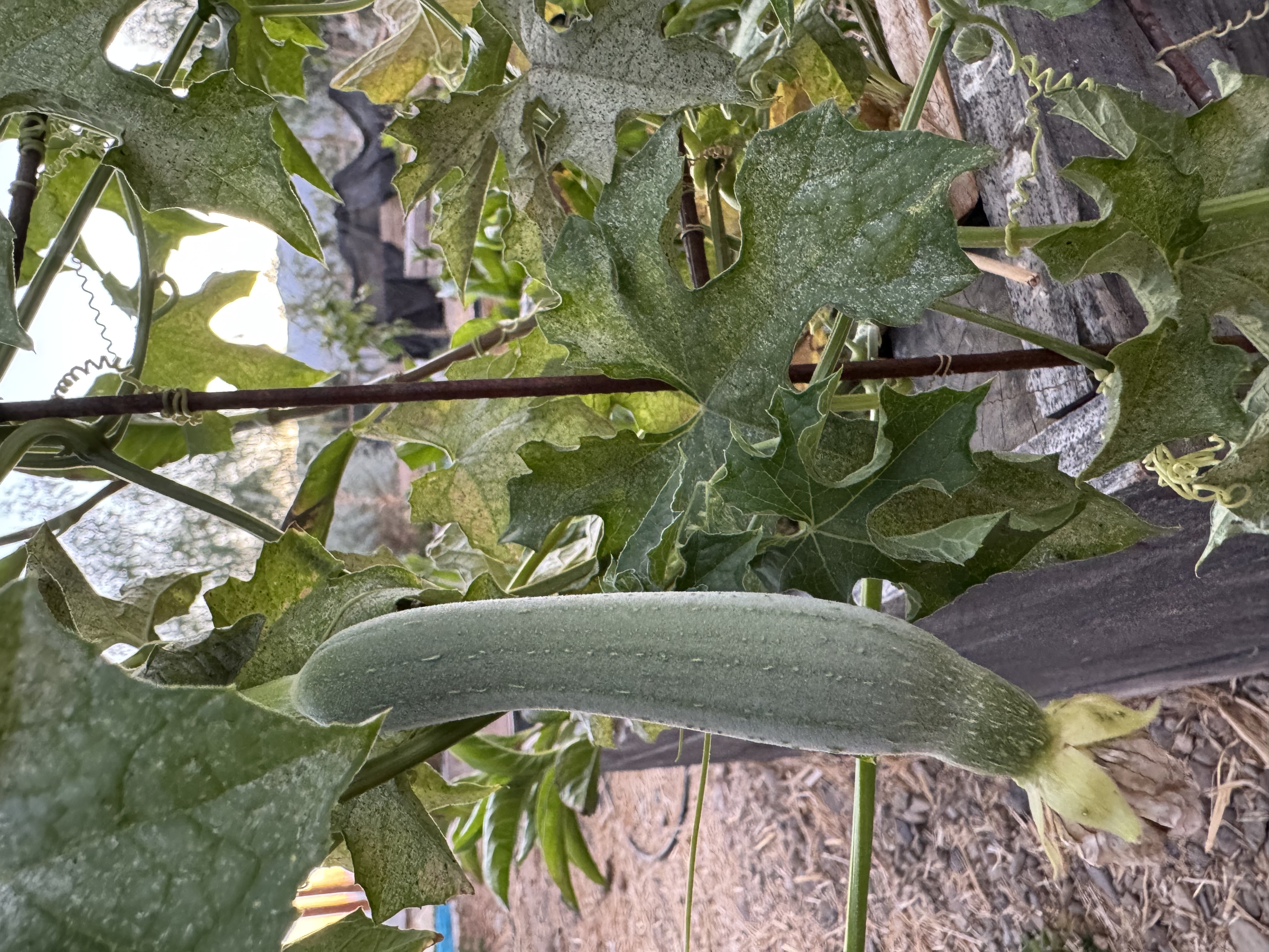 Nuestro territorio 8